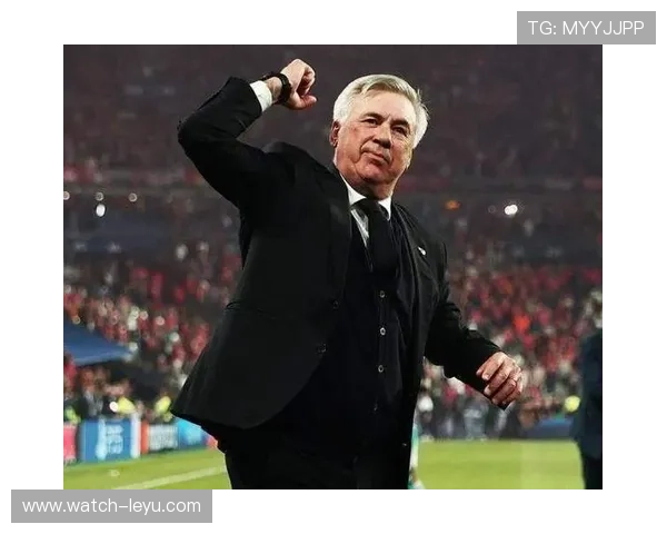 皇家马德里冬窗引援计划曝光安切洛蒂布局未来蓝图七名新星目标浮现